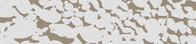 10694273_10204814585992970_3749430320078166557_o