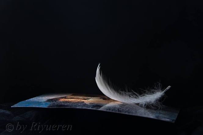 r10801795_915968468437316_4366091442813442980_n